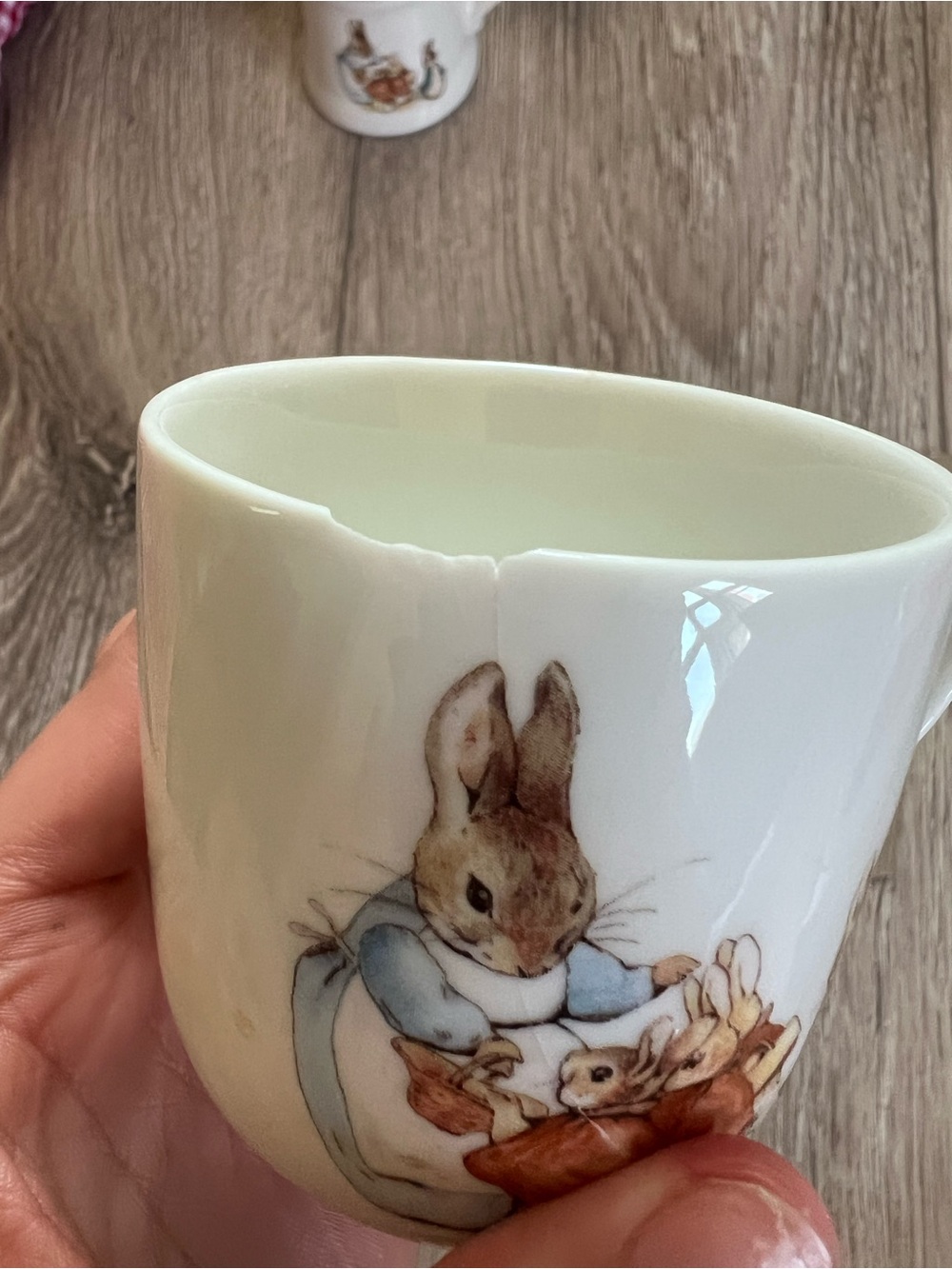 Beatrix Potter Peter Rabbit Picnic Tea Set Complete Set - Picture 12 of 14